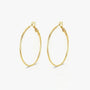 Hoop Earrings - Amberline