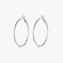 Hoop Earrings - Frostine