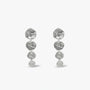 Drop Earrings - Pebble