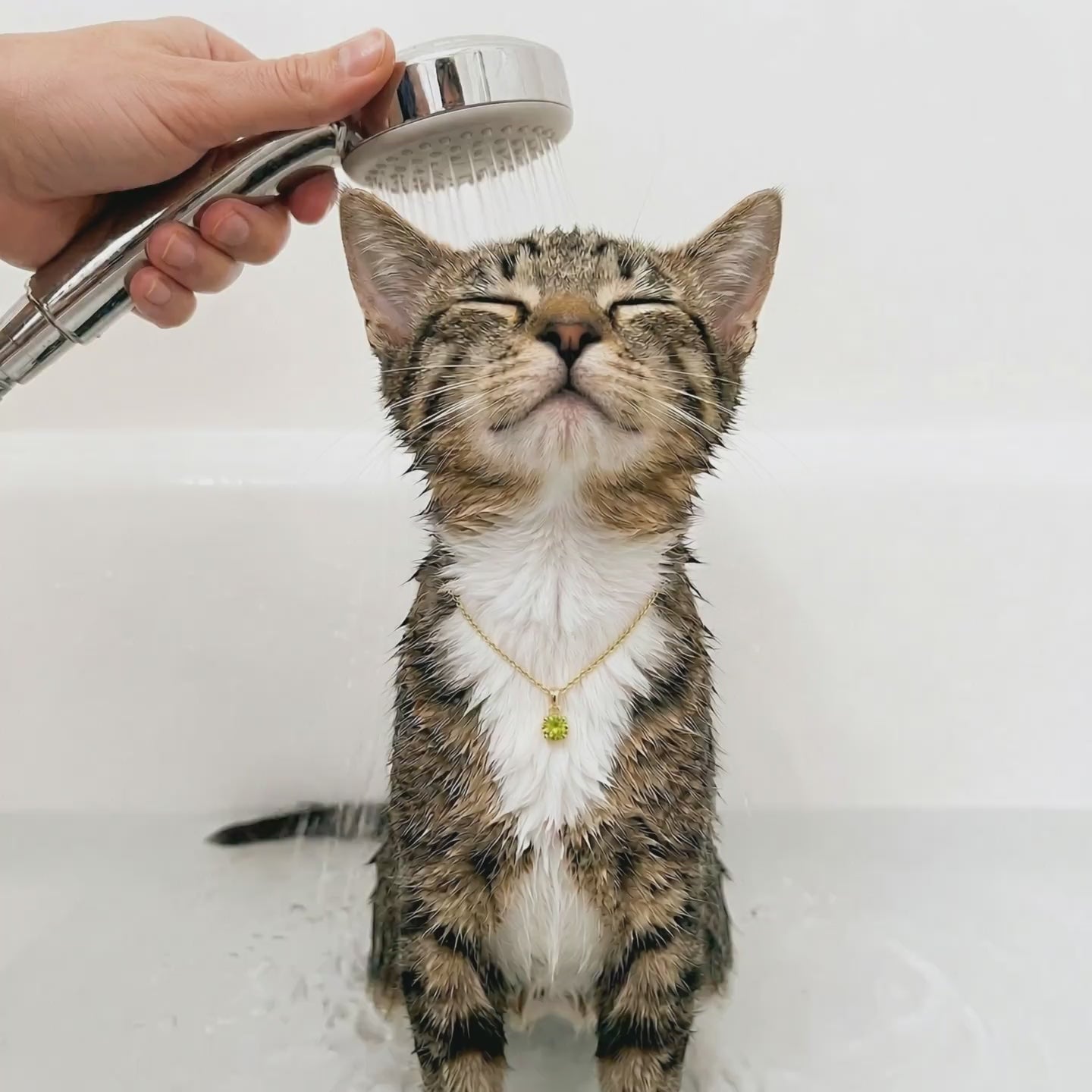 18K Gold-plated Titanium Birthstone Necklace